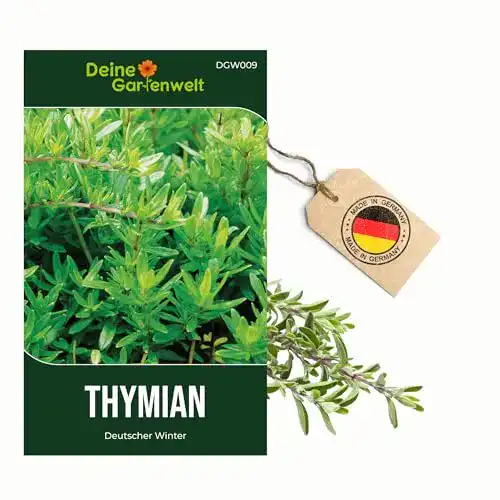 Thymian-Samen Deine Gartenwelt Thymian Deutscher Winter