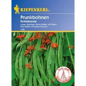 Feuerbohnen-Samen Kiepenkerl Bohne Rotblühend