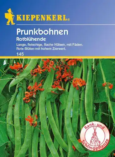 Feuerbohnen-Samen Kiepenkerl Bohne Rotblühend