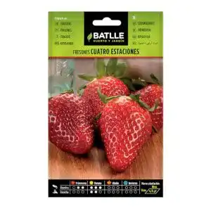 Erdbeer-Samen Semillas Batlle Batlle aromatic seeds