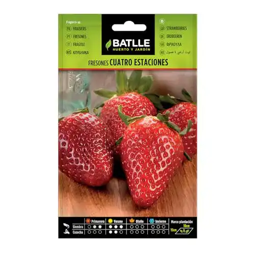 Erdbeer-Samen Semillas Batlle Batlle aromatic seeds