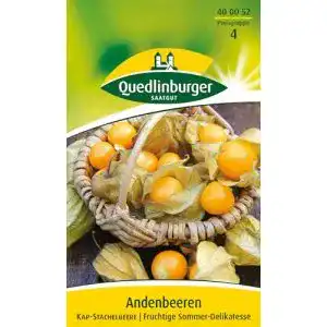 Physalis-Samen Quedlinburger Saatgut, Kapstachelbeere Samen