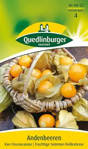 Physalis-Samen Quedlinburger Saatgut, Kapstachelbeere Samen