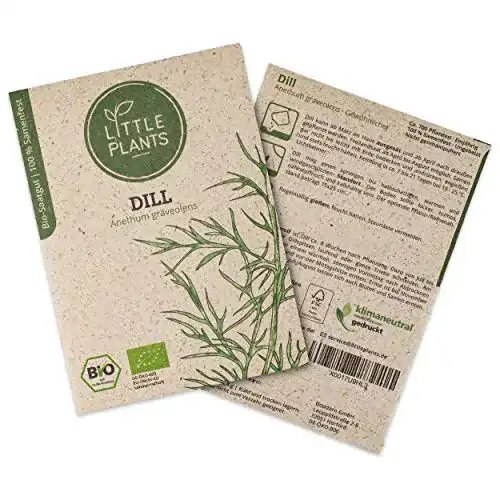 Dill-Samen Little Plants BIO-Dillsamen, ca. 700 Dill-Pflanzen