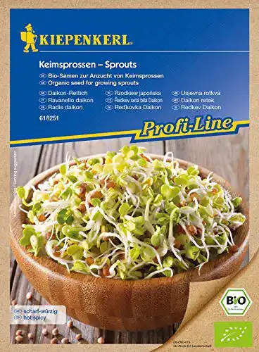 Daikon-Rettich Kiepenkerl BIO Keimsprossen , Bio-Samen zur Anzucht