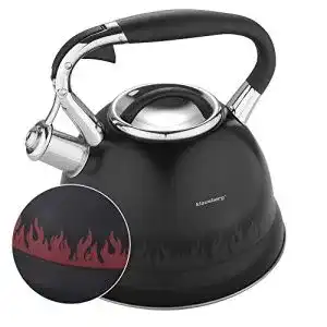 Klausberg-Wasserkessel Klausberg Magic Change Farbwechsel 2,7 l