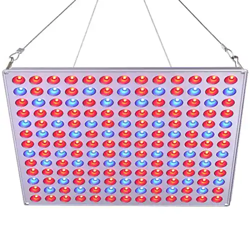 Pflanzenlampen Roleadro LED Pflanzenlampe Winter 75w