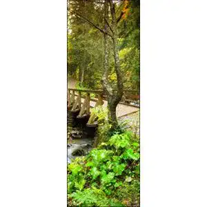 Türtapete wandmotiv24 Waldweg mit Bach 70 x 200cm (B x H)