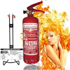 Feuerlöscher 2 kg Brandengel Premium Autofeuerlöscher 2kg