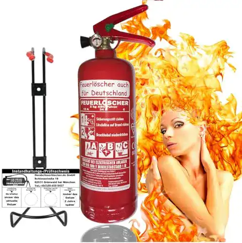 Die beste Feuerlöscher 2 kg Brandengel Premium Autofeuerlöscher 2kg 2026 Test Bestseller Feuerlöscher 2 kg Brandengel Premium Autofeuerlöscher 2kg
