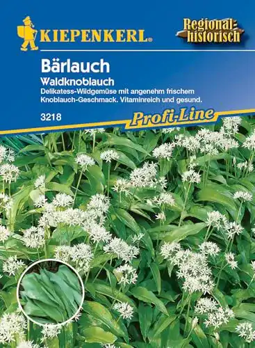 Bärlauch-Samen Sperli Gemüsesamen Waldknoblauch Bärlauch