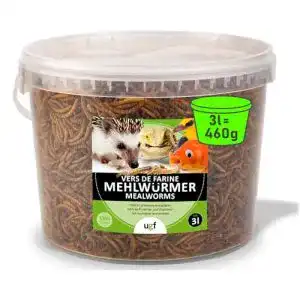 Mehlwürmer UGF Premium getrocknet 3 Liter Eimer, Vogelfutter