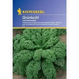 Grünkohl-Samen Kiepenkerl 411 Grünkohl Lerchenzungen