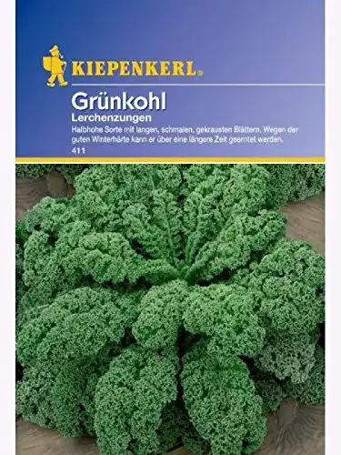 Grünkohl-Samen Kiepenkerl 411 Grünkohl Lerchenzungen