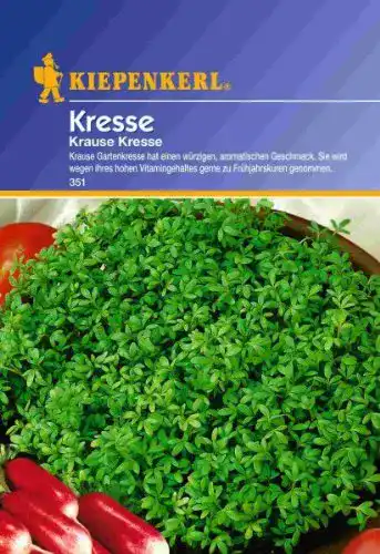 Kressesamen Nebelung Sämereien Kresse Krause PG B