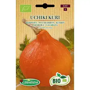 Kürbis-Samen Germisem Kürbis UCHIKI KURI, ECBIO4007