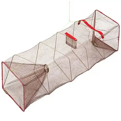 Die beste Aal-Reuse ARAPAIMA FISHING EQUIPMENT Arapaima® Köder Fisch Reuse Aalreuse mit Futterbeutel 2026 Test Bestseller Aal-Reuse ARAPAIMA FISHING EQUIPMENT Arapaima® Köder Fisch Reuse Aalreuse mit Futterbeutel