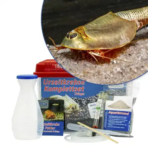 Urzeitkrebse AQ4Aquaristik Triops longicaudatus Starterset
