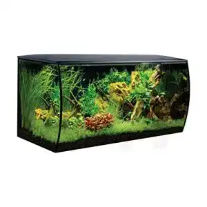 Großes Aquarium Fluval Flex Aquarium 123L, Süßwasser Aquarium