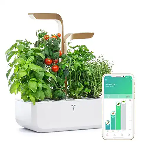 Smart Garden Véritable ® Connect, Moonlight Gold, 4 Lingots®