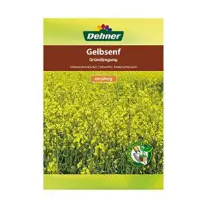 Senf-Samen Dehner Saatgut, Gründüngung, Gelbsenf, 500 g