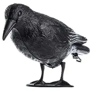 Taubenschreck KADAX Schwarz Rabe, Taubenabwehr Kunststoff