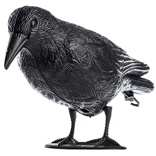 Taubenschreck KADAX Schwarz Rabe, Taubenabwehr Kunststoff