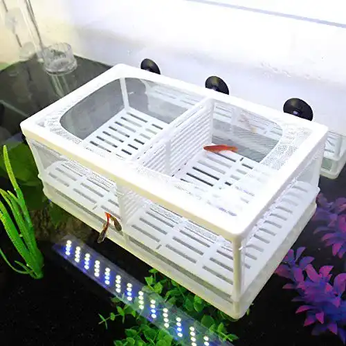 Die beste Fischzuchtbecken SENZEAL Aquarium Netz Ablaichbehälter Fisch 2026 Test Bestseller Fischzuchtbecken SENZEAL Aquarium Netz Ablaichbehälter Fisch