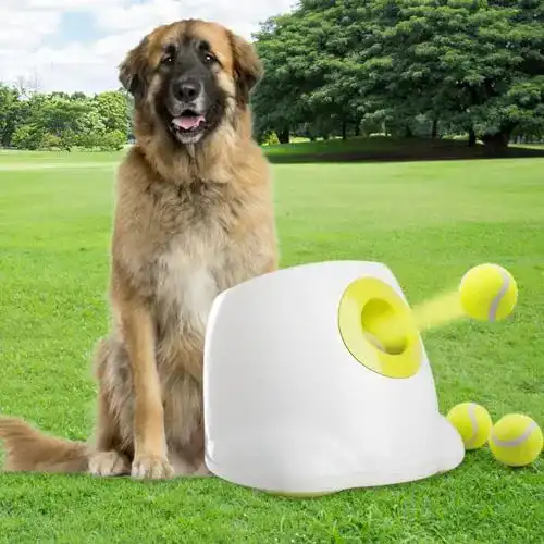 Ballwurfmaschine Hund Pet Prime Automatischer Ballwerfer