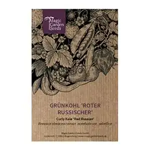 Grünkohl-Samen Magic Garden Seeds Grünkohl ‘Roter Russischer’