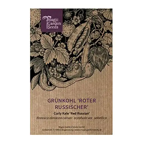 Grünkohl-Samen Magic Garden Seeds Grünkohl ‘Roter Russischer’