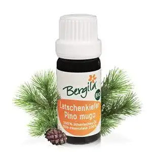 Latschenkieferöl Bergila Ätherisches Öl Latschenkiefer, Bio, 10 ml