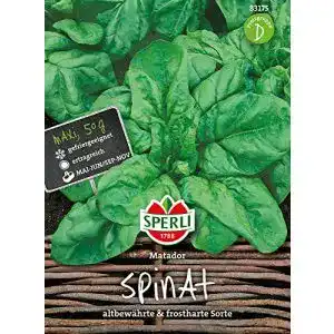 Spinat-Samen Sperli -Samen Spinat Matador, Maxipack 50g
