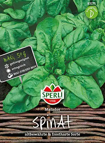 Spinat-Samen Sperli -Samen Spinat Matador, Maxipack 50g
