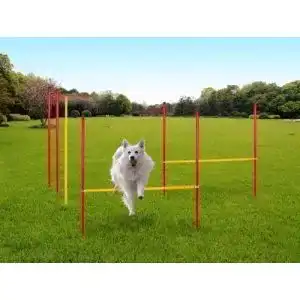 Slalomstange Karry Hunde Agility Set Training Hundesport Hürden Slalom Stangen