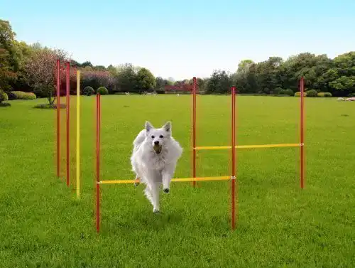 Slalomstange Karry Hunde Agility Set Training Hundesport Hürden Slalom Stangen