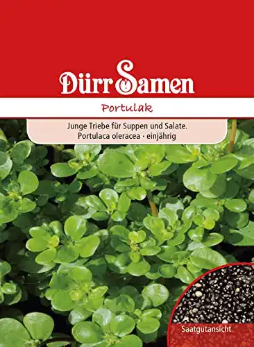 Portulak-Samen Dürr-Samen Dürr Samen 0165 Portulak