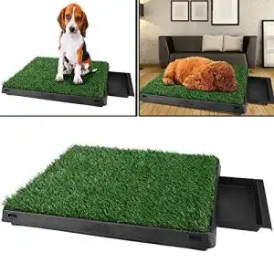 Hundetoilette Hesyovy Befied Welpentoilette mit Kunstrasen