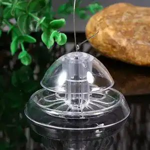 Schneckenfalle Aquarium Fabater Natur fangen Schnecke, Aquarium
