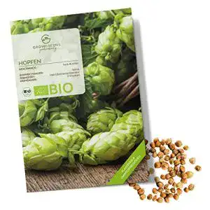 Hopfen-Samen growgreens BIO Hopfen Samen, Heilkräuter