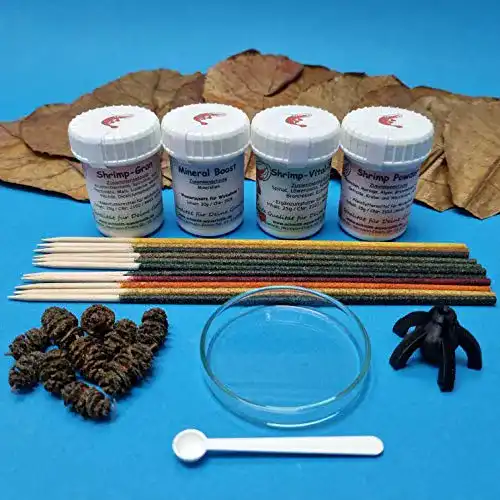 Erlenzapfen Schmitt Aquaristik Garnelen Einsteiger Set