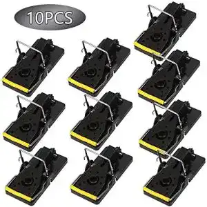 Rattenfalle Schlagfalle MGRETT Rattenfalle Köder 10 x Profi