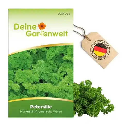 Petersiliensamen Deine Gartenwelt Petersilie Moskrul 2