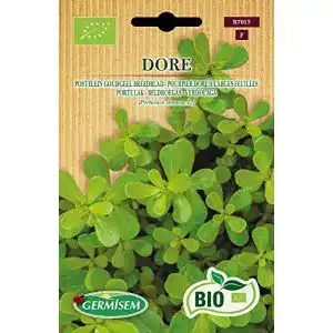 Portulak-Samen Germisem Portulak DORE, ECBIO7015