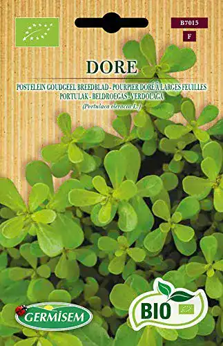 Portulak-Samen Germisem Portulak DORE, ECBIO7015