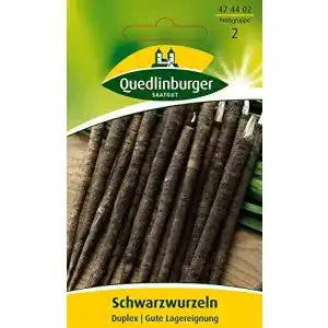 Schwarzwurzelsamen Quedlinburger Schwarzwurzel Sorte Duplex