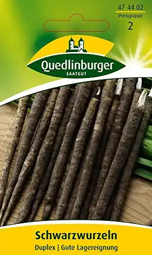 Schwarzwurzelsamen Quedlinburger Schwarzwurzel Sorte Duplex