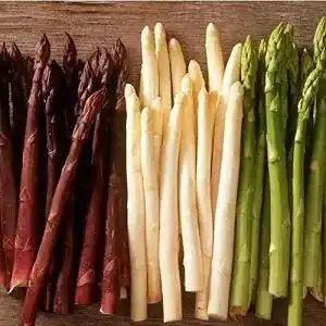 Spargelsamen BSptyy 300 Stück mischen Erbstück Spargel