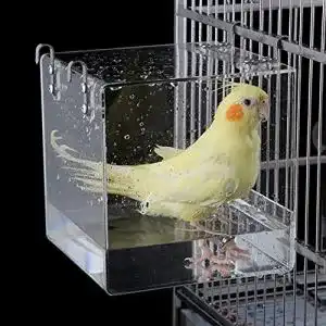 Vogelbad Aceshop ewanne Hängende Wanne Transparent Acryl