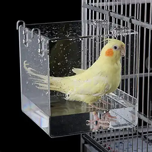 Vogelbad Aceshop ewanne Hängende Wanne Transparent Acryl